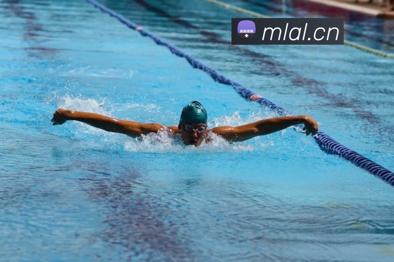 开云在线官网登录服务体系